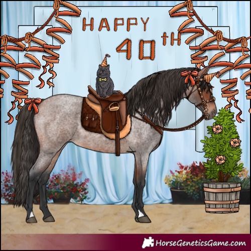 Horse Color:Bay Roan 
