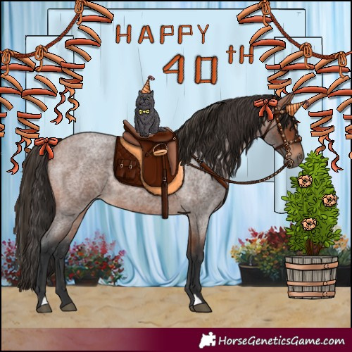 Horse Color:Bay Roan 