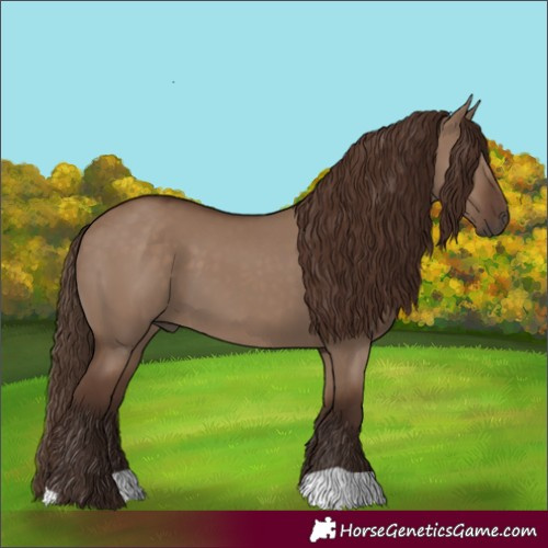 Horse Color:Liver Red Dun 