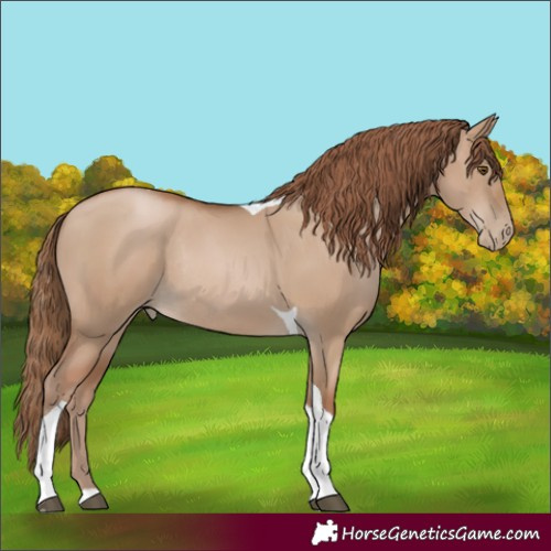 Horse Color:Grullo Pearl Tobiano Rabicano 