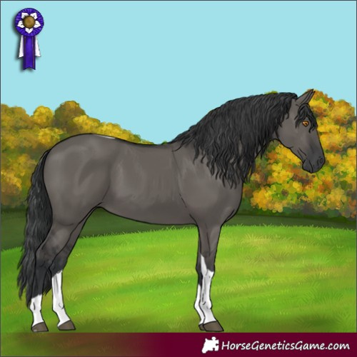 Horse Color:Grullo Tobiano 