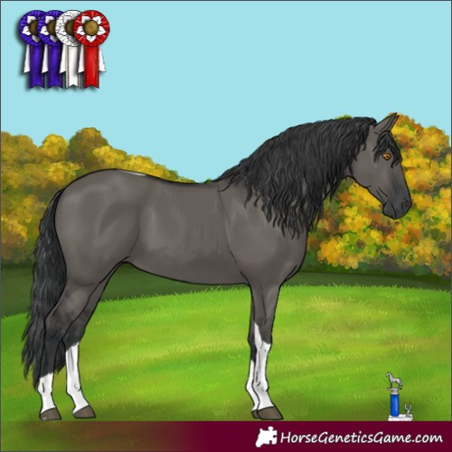 Horse Color:Grullo Tobiano 