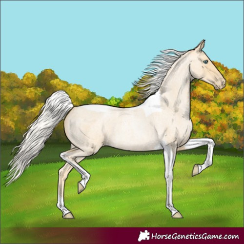 Horse Color:Silver Smoky Blue Roan Pearl Tobiano 