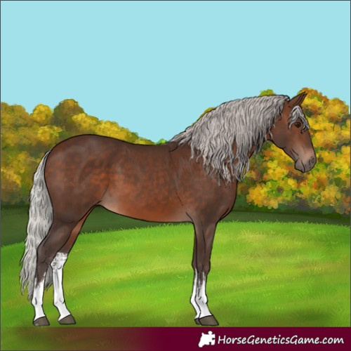 Horse Color:White Spotted Silver Brown 