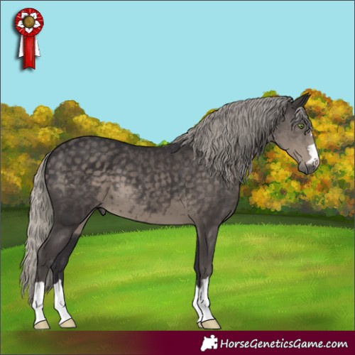 Horse Color:Silver Smoky Black 