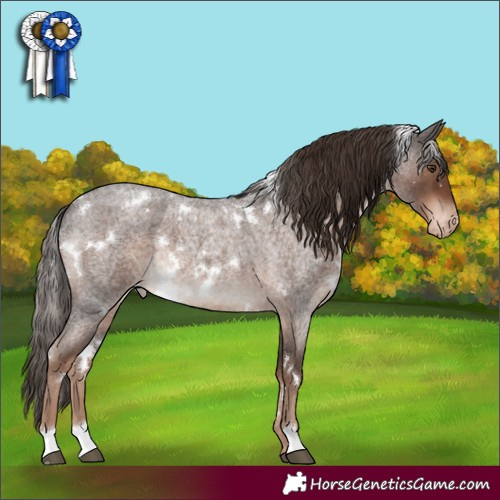Horse Color:White Spotted Liver Red Roan Appaloosa