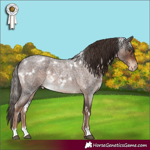 Horse Color:White Spotted Liver Red Roan Appaloosa 