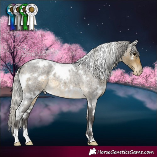 Horse Color:White Spotted Silver Buckskin Roan Varnish 