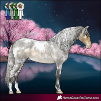 Horse Color:White Spotted Silver Buckskin Roan Appaloosa