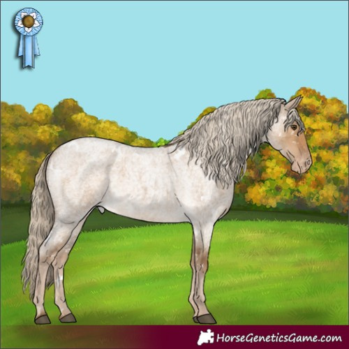 Horse Color:White Spotted Chocolate Palomino Roan Dun Appaloosa 