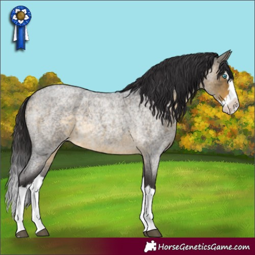 Horse Color:Buckskin Roan Splash