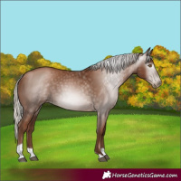 Horse Color:Gray Silver Black Pearl Tobiano 