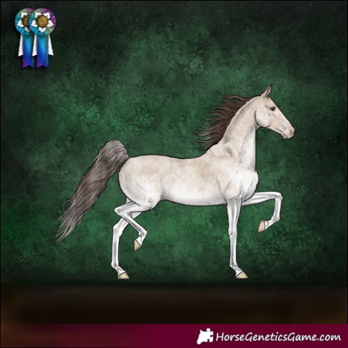 Horse Color:White Spotted Classic Champagne Dun Rabicano 