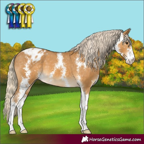 Horse Color:Palomino Sabino Varnish 