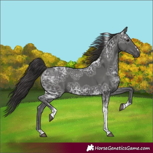 Horse Color:Smoky Black Ice Tobiano 