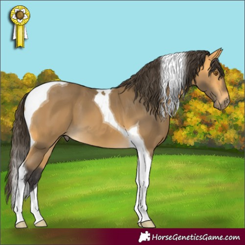 Horse Color:Buckskin Tobiano 