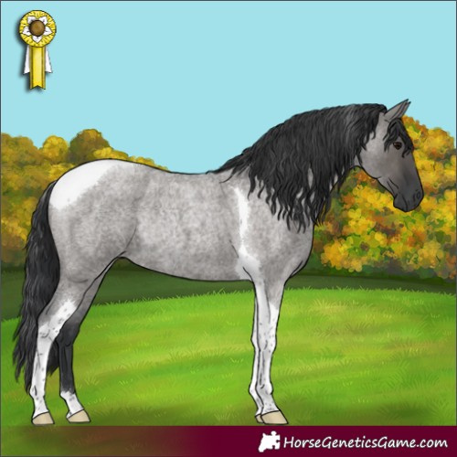 Horse Color:Grullo Roan Tobiano Rabicano