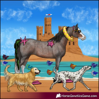 Horse Color:Liver Red Roan Splash 