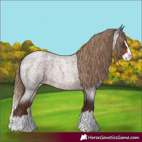 Horse Color:Liver Red Roan Splash