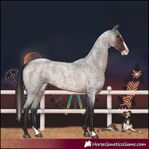 Horse Color:Liver Red Roan Splash 