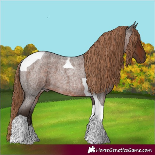 Horse Color:Liver Red Roan Tobiano