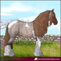 Horse Color:Liver Red Roan Tobiano 