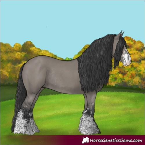 Horse Color:Grullo Sabino Rabicano