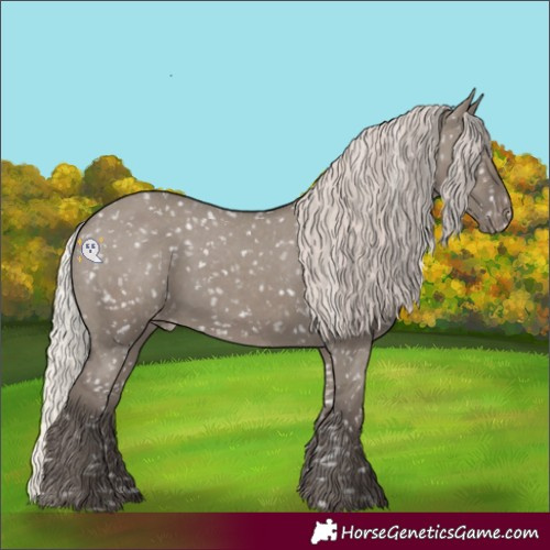 Horse Color:Silver Grullo Snowflake Varnish