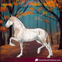 Horse Color:Chocolate Palomino Pearl Tobiano Frame and Chocolate Palomino Pearl Tobiano Frame
