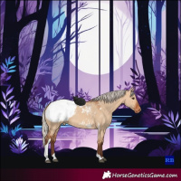 Horse Color:Silver Bay Dun Tobiano Appaloosa