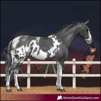 Horse Color:White Spotted Black Splash Tobiano Frame Skewed LP Spotted 