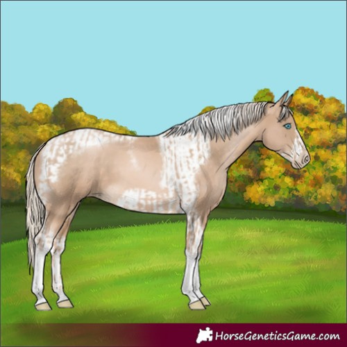 Horse Color:Chocolate Palomino Pearl Tobiano Frame and Chocolate Palomino Pearl Tobiano Frame