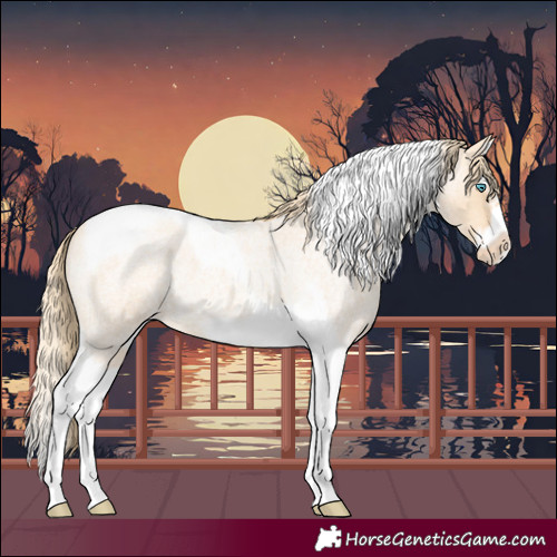 Horse Color:Gold Champagne Roan Dun Splash Tobiano Frame Varnish Rabicano 