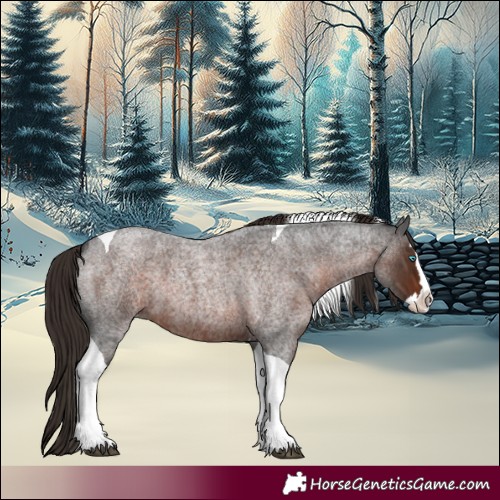 Horse Color:Liver Red Roan Splash Tobiano 