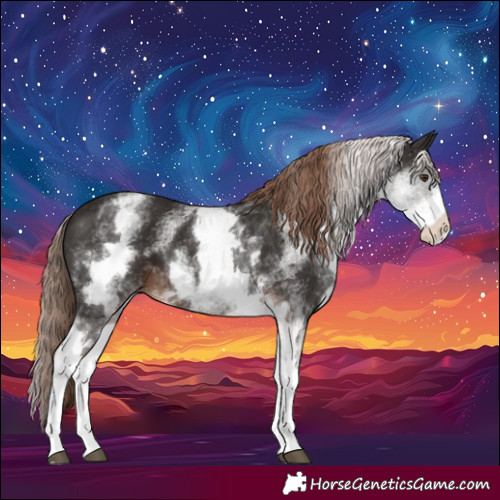 Horse Color:White Spotted Liver Chestnut 