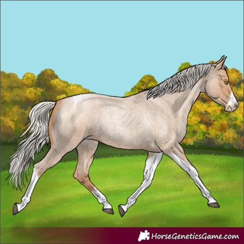 Horse Color:Silver Blue Roan Pearl Tobiano Frame