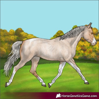 Horse Color:Silver Blue Roan Pearl Tobiano Frame 
