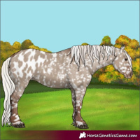Horse Color:Silver Grullo Blanket