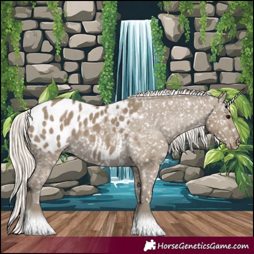 Horse Color:Silver Smoky Grullo Appaloosa 