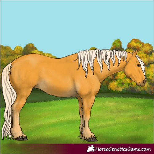 Horse Color:Palomino 