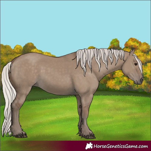 Horse Color:Silver Grullo