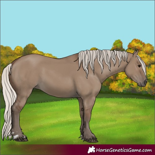Horse Color:Silver Grullo