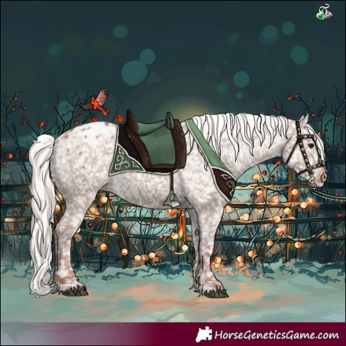 Horse Color:Chocolate Silver Grullo Appaloosa 