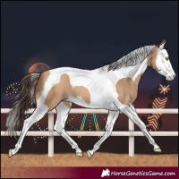 Horse Color:Amber Champagne Splash Tobiano