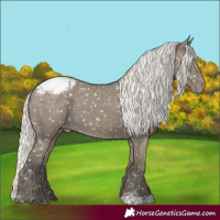 Horse Color:Silver Smoky Grullo Snowflake Varnish 