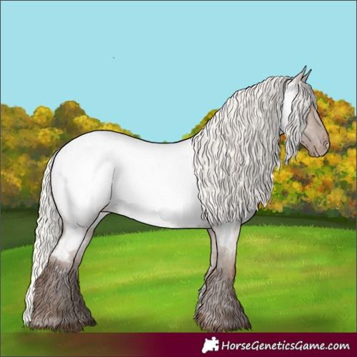 Horse Color:Silver Grullo Roan Near Fewspot 