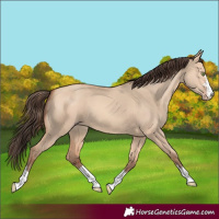 Horse Color:Amber Champagne Dun