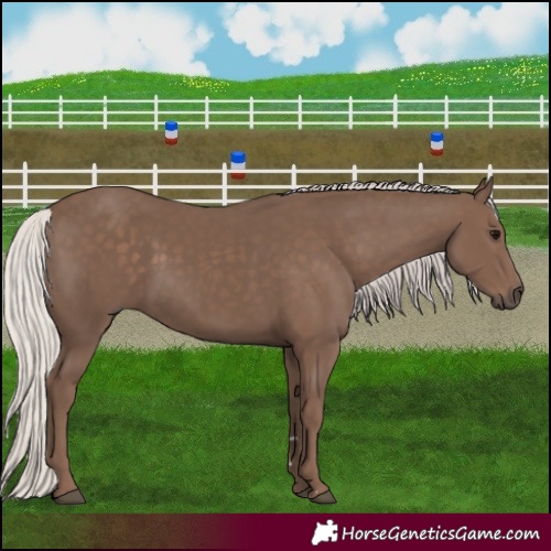 Horse Color:Silver Black 