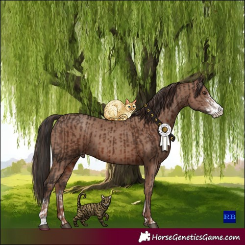 Horse Color:Liver Chestnut Sabino  and Classic Champagne Sabino 