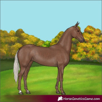 Horse Color:Silver Black
